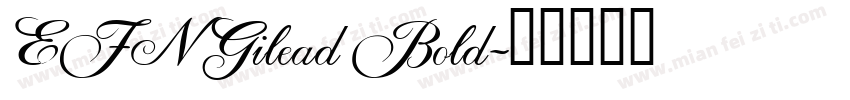 EFN Gilead Bold字体转换